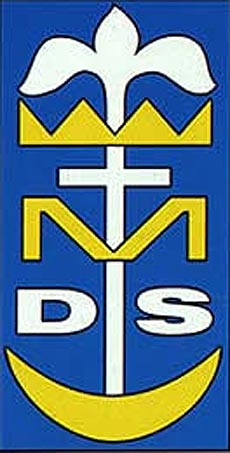 DSM-logo