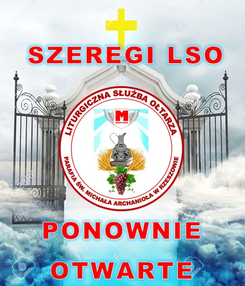 PORTA LSO