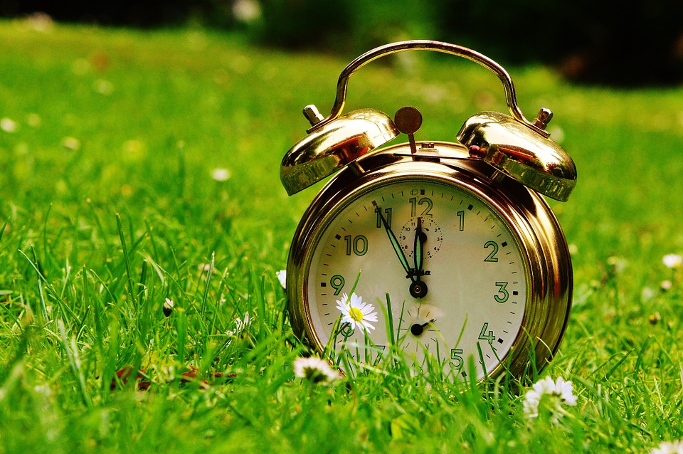 the eleventh hour 792291 960 720